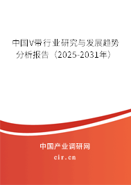 中國V帶行業(yè)研究與發(fā)展趨勢分析報(bào)告（2025-2031年）