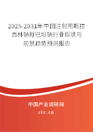 2025-2031年中國(guó)注射用哌拉西林鈉舒巴坦鈉行業(yè)現(xiàn)狀與前景趨勢(shì)預(yù)測(cè)報(bào)告 2025-2031年中國(guó)注射用哌拉西林鈉舒巴坦鈉行業(yè)現(xiàn)狀與前景趨勢(shì)預(yù)測(cè)報(bào)告