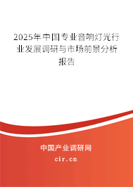2025年中國專業(yè)音響燈光行業(yè)發(fā)展調(diào)研與市場前景分析報告 2025年中國專業(yè)音響燈光行業(yè)發(fā)展調(diào)研與市場前景分析報告