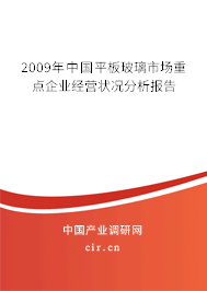 2009年中國平板玻璃市場重點企業(yè)經(jīng)營狀況分析報告 2009年中國平板玻璃市場重點企業(yè)經(jīng)營狀況分析報告
