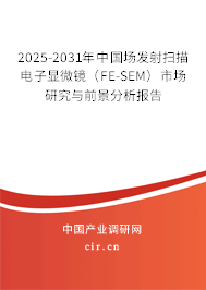 2025-2031年中國場發(fā)射掃描電子顯微鏡(FE-SEM)市場研究與前景分析報告 2025-2031年中國場發(fā)射掃描電子顯微鏡(FE-SEM)市場研究與前景分析報告