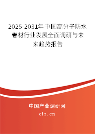 2025-2031年中國高分子防水卷材行業(yè)發(fā)展全面調(diào)研與未來趨勢報告