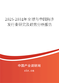 2025-2031年全球與中國狗沙發(fā)行業(yè)研究及趨勢分析報告