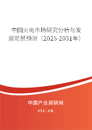 中國(guó)火電市場(chǎng)研究分析與發(fā)展前景預(yù)測(cè)（2025-2031年）