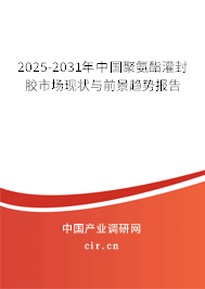 2025-2031年中國聚氨酯灌封膠市場現(xiàn)狀與前景趨勢報告