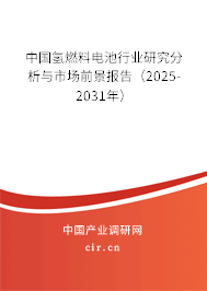 中國氫燃料電池行業(yè)研究分析與市場前景報(bào)告（2025-2031年）