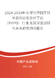 2024-2030年全球與中國三羥甲基丙烷氧雜環(huán)丁烷(TMPO)行業(yè)發(fā)展深度調(diào)研與未來趨勢預(yù)測報告 2024-2030年全球與中國三羥甲基丙烷氧雜環(huán)丁烷(TMPO)行業(yè)發(fā)展深度調(diào)研與未來趨勢預(yù)測報告