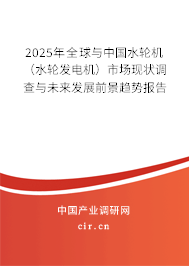2025年全球與中國水輪機（水輪發(fā)電機）市場現(xiàn)狀調(diào)查與未來發(fā)展前景趨勢報告
