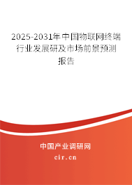 2025-2031年中國(guó)物聯(lián)網(wǎng)終端行業(yè)發(fā)展研及市場(chǎng)前景預(yù)測(cè)報(bào)告