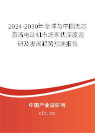 2024-2030年全球與中國無芯直流電動(dòng)機(jī)市場(chǎng)現(xiàn)狀深度調(diào)研及發(fā)展趨勢(shì)預(yù)測(cè)報(bào)告