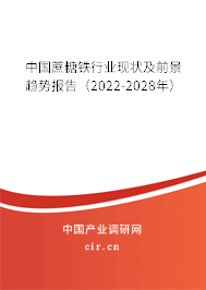 中國蔗糖鐵行業(yè)現(xiàn)狀及前景趨勢報告（2022-2028年）