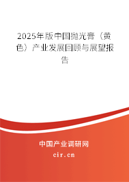 2025年版中國(guó)拋光膏(黃色)產(chǎn)業(yè)發(fā)展回顧與展望報(bào)告 2025年版中國(guó)拋光膏(黃色)產(chǎn)業(yè)發(fā)展回顧與展望報(bào)告