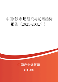 中國t鐵市場研究與前景趨勢報告(2025-2031年) 中國t鐵市場研究與前景趨勢報告(2025-2031年)