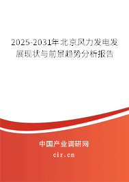 2025-2031年北京風(fēng)力發(fā)電發(fā)展現(xiàn)狀與前景趨勢分析報告