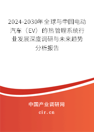 2024-2030年全球與中國電動汽車(EV)的熱管理系統(tǒng)行業(yè)發(fā)展深度調(diào)研與未來趨勢分析報告 2024-2030年全球與中國電動汽車(EV)的熱管理系統(tǒng)行業(yè)發(fā)展深度調(diào)研與未來趨勢分析報告