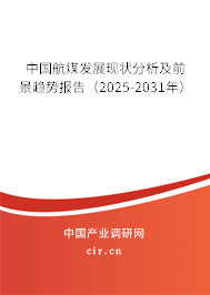 中國(guó)航煤發(fā)展現(xiàn)狀分析及前景趨勢(shì)報(bào)告（2024-2030年）