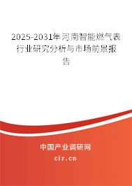 2025-2031年河南智能燃?xì)獗硇袠I(yè)研究分析與市場(chǎng)前景報(bào)告