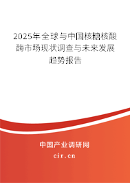 2025年全球與中國核糖核酸酶市場現(xiàn)狀調(diào)查與未來發(fā)展趨勢報(bào)告 2025年全球與中國核糖核酸酶市場現(xiàn)狀調(diào)查與未來發(fā)展趨勢報(bào)告