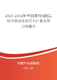2025-2031年中國建筑加固工程市場調(diào)查研究與行業(yè)前景分析報告