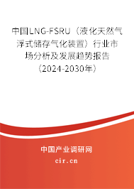 中國(guó)LNG-FSRU（液化天然氣浮式儲(chǔ)存氣化裝置）行業(yè)市場(chǎng)分析及發(fā)展趨勢(shì)報(bào)告（2024-2030年）