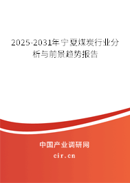 2025-2031年寧夏煤炭行業(yè)分析與前景趨勢報告 2025-2031年寧夏煤炭行業(yè)分析與前景趨勢報告