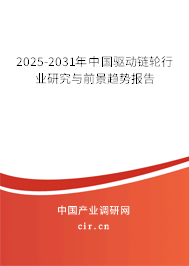2025-2031年中國驅(qū)動鏈輪行業(yè)研究與前景趨勢報告