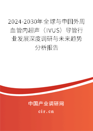 2024-2030年全球與中國外周血管內(nèi)超聲（IVUS）導管行業(yè)發(fā)展深度調(diào)研與未來趨勢分析報告
