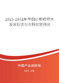 2025-2031年中國(guó)小顆粒積木發(fā)展現(xiàn)狀與市場(chǎng)前景預(yù)測(cè) 2025-2031年中國(guó)小顆粒積木發(fā)展現(xiàn)狀與市場(chǎng)前景預(yù)測(cè)