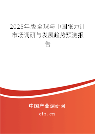 2025年版全球與中國張力計市場調(diào)研與發(fā)展趨勢預(yù)測報告 2025年版全球與中國張力計市場調(diào)研與發(fā)展趨勢預(yù)測報告