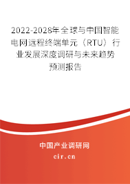 2022-2028年全球與中國智能電網(wǎng)遠(yuǎn)程終端單元（RTU）行業(yè)發(fā)展深度調(diào)研與未來趨勢預(yù)測報(bào)告