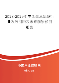 2023-2029年中國聚苯硫醚行業(yè)發(fā)展回顧及未來前景預(yù)測報告