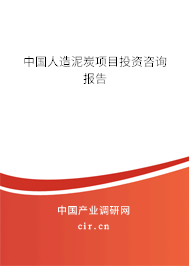 中國人造泥炭項目投資咨詢報告 中國人造泥炭項目投資咨詢報告