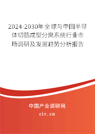 2024-2030年全球與中國(guó)半導(dǎo)體切筋成型分離系統(tǒng)行業(yè)市場(chǎng)調(diào)研及發(fā)展趨勢(shì)分析報(bào)告