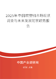 2025年中國吹塑機市場現(xiàn)狀調(diào)查與未來發(fā)展前景趨勢報告