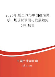 2025年版全球與中國磁性微球市場現(xiàn)狀調(diào)研與發(fā)展趨勢分析報告