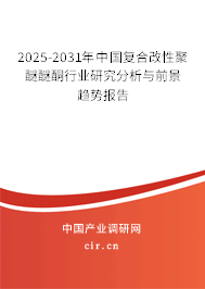 2024-2030年中國(guó)復(fù)合改性聚醚醚酮行業(yè)研究分析與前景趨勢(shì)報(bào)告