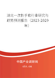 湖北一次性手套行業(yè)研究與趨勢預(yù)測報告（2023-2029年）
