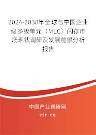 2024-2030年全球與中國(guó)企業(yè)級(jí)多級(jí)單元（MLC）閃存市場(chǎng)現(xiàn)狀調(diào)研及發(fā)展前景分析報(bào)告