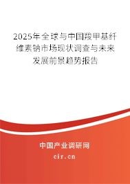 2025年全球與中國羧甲基纖維素鈉市場現(xiàn)狀調(diào)查與未來發(fā)展前景趨勢報告
