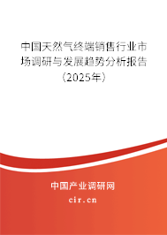 中國天然氣終端銷售行業(yè)市場調研與發(fā)展趨勢分析報告(2025年) 中國天然氣終端銷售行業(yè)市場調研與發(fā)展趨勢分析報告(2025年)