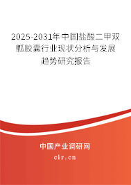 2025-2031年中國鹽酸二甲雙胍膠囊行業(yè)現(xiàn)狀分析與發(fā)展趨勢研究報告