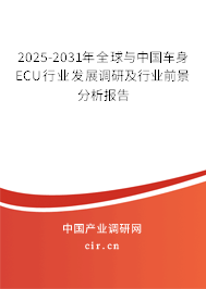 2025-2031年全球與中國車身ECU行業(yè)發(fā)展調(diào)研及行業(yè)前景分析報告 2025-2031年全球與中國車身ECU行業(yè)發(fā)展調(diào)研及行業(yè)前景分析報告