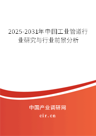 2025-2031年中國(guó)工業(yè)管道行業(yè)研究與行業(yè)前景分析