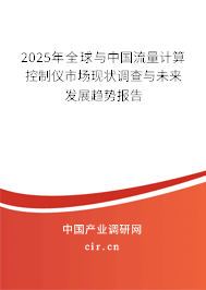 2025年全球與中國(guó)流量計(jì)算控制儀市場(chǎng)現(xiàn)狀調(diào)查與未來(lái)發(fā)展趨勢(shì)報(bào)告
