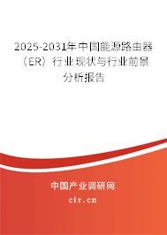 2025-2031年中國能源路由器（ER）行業(yè)現(xiàn)狀與行業(yè)前景分析報告