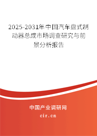 2025-2031年中國(guó)汽車盤式制動(dòng)器總成市場(chǎng)調(diào)查研究與前景分析報(bào)告