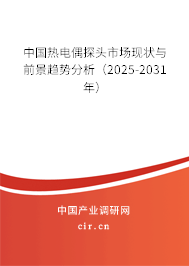 中國熱電偶探頭市場現(xiàn)狀與前景趨勢分析(2025-2031年) 中國熱電偶探頭市場現(xiàn)狀與前景趨勢分析(2025-2031年)