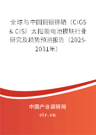 全球與中國銅銦鎵硒(CIGS & CIS)太陽能電池模塊行業(yè)研究及趨勢(shì)預(yù)測(cè)報(bào)告(2025-2031年) 全球與中國銅銦鎵硒(CIGS & CIS)太陽能電池模塊行業(yè)研究及趨勢(shì)預(yù)測(cè)報(bào)告(2025-2031年)