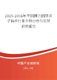 2025-2031年中國(guó)推力圓錐滾子軸承行業(yè)市場(chǎng)分析與前景趨勢(shì)報(bào)告