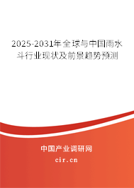 2025-2031年全球與中國雨水斗行業(yè)現(xiàn)狀及前景趨勢預(yù)測